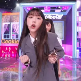 버니즈가 너무 좋아하는 