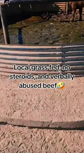water tank incident #cows #funny #fyp 
