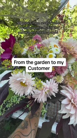CSA for Friday. Flowers for the pollinators and the people in 10b. #cutflowers #floralarrangements #farmerflorist #fyp #gardenproject 