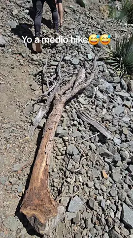 unos taquitos bajando o q? #humor #risa #tacos #Hiking #aventura 
