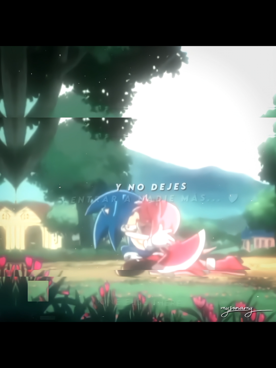 Aunt I can't believe that they changed this beautiful song 💔 #amyrose #sonamy #sonamy💙💖 #sonicedits #fyp 