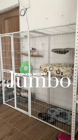 Membalas @😸 kandang kucing jumbonya ada tangganya 4 terus ada tatakan boboknya 3 kaa kalo beli sama kaya ukuranku yaa, saya pakai ukuran XL yah ka 🫶🌿 #kandangkucing 