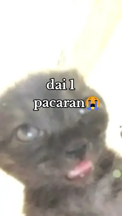 #fyp #foryou #fyppppppppppppppppppppppp #fyppppppppppppppppppppppp #viral 