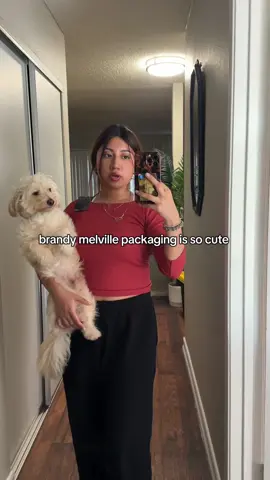 mini brandy haul (mostly sweaters for work lol) #fyp #work #brandymelville #clothinghaul #haul 