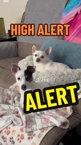 😆