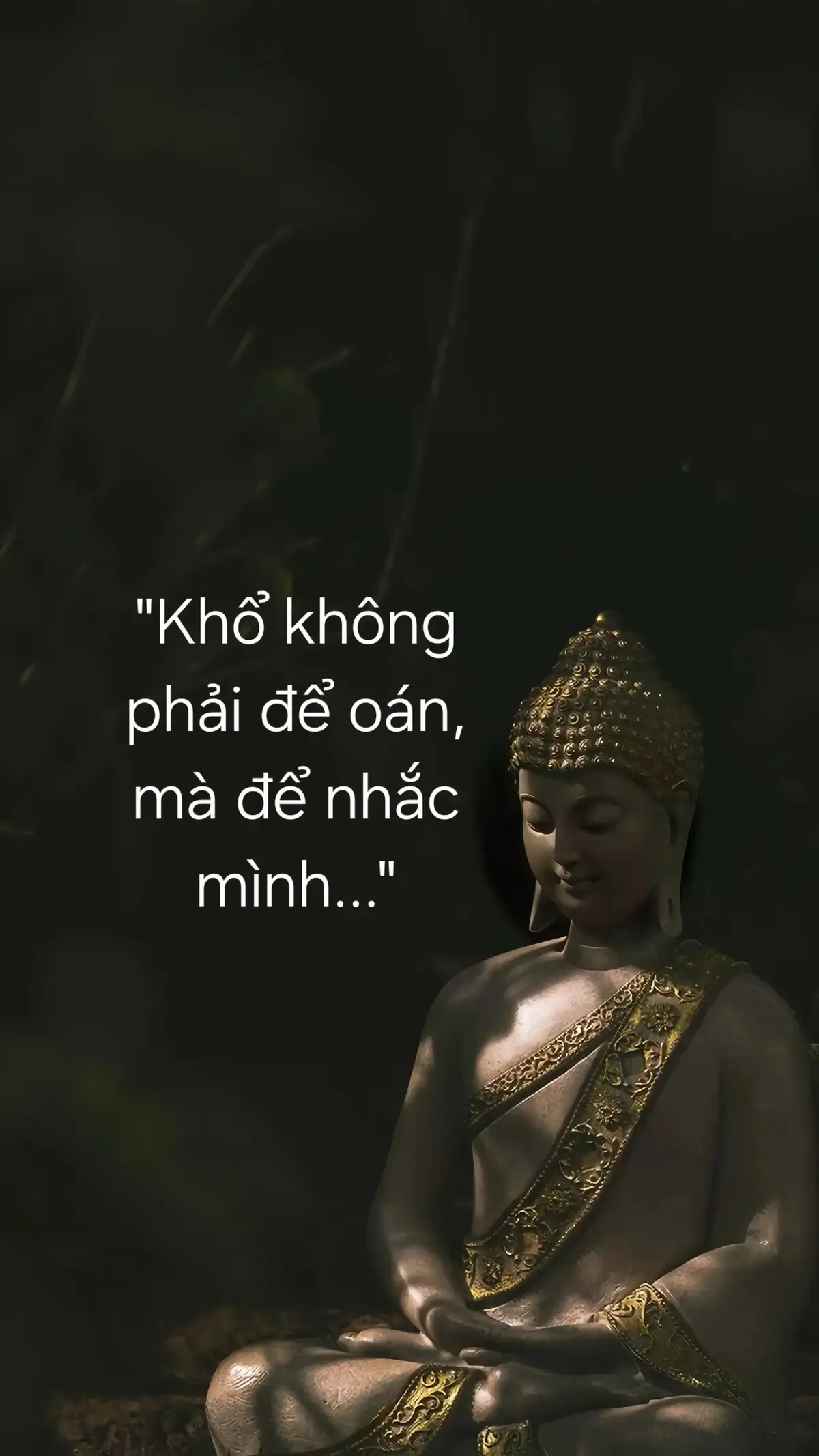 #fpy #hocphatcungnhien #hocphatmoingay #phatphaphiemau #phatphap 
