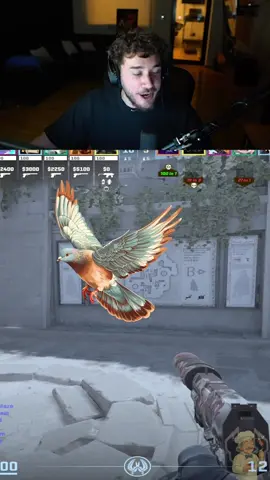 Bueno bro . . . #fyp #paratii #streamer #santutu #cs 