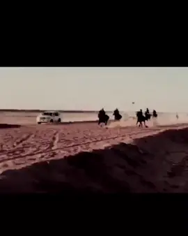 #غزوان#تشغيل_خيول_السرعه🐴 #تجويك_خيل_السرعه #ميدان الجنادريه