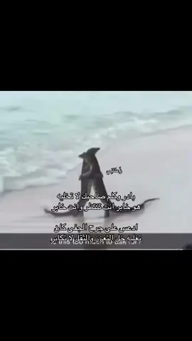 #زَعلتنِي 