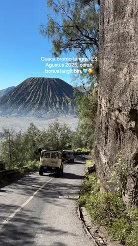 Cuaca bromo tanggal 23 Agustus 2025, cerah bonus langit biru🩵🥰 Update harga sewa jeep bromo tahun 2025 ✅Harga 750K Destinasi : 1. Sunrise point 2. Lembah widodaren 3. Kawah bromo 4. Pasir berbisik 5. Savana bromo ✅Harga 700K Destinasi 1. Seruni point 2. Kawah bromo 3. Pasir berbisik 4. Savana bromo ✅Harga 650K Destinasi 1. Puncak mentigen 2. Kawah bromo 3. Pasir berbisik 4. Savana bromo ✅Harga sudah termasuk jeep, bbm, driver dan destinasi sesuai paket ✅Harga belum termasuk tiket masuk bromo ✅Wa admin cuma ada di bio yagesya ✅Cara booking cukup isi formulir & dp minimal 250k / jeep ✅Start Sukapura Probolinggo  ✅WEEKEND / WEEKDAY HARGA SAMA ✅ 1 jeep maks 6 orang  #bromo #bromotenggersemeru #gunungbromo #bromotravel #privatetripbromo 