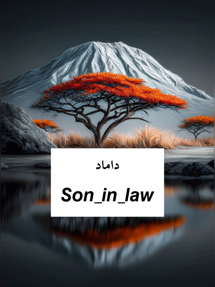 𝙡𝙚𝙖𝙧𝙣 𝙀𝙣𝙜𝙡𝙞𝙨𝙝#foryou #fyp #english #learnenglish #usa_tiktok 