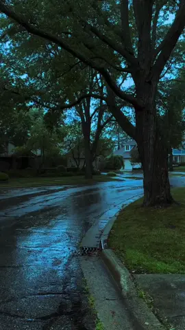 what memory does this bring up for you? 💙 #liminal #rain #ambient #bluehour #nostalgia 