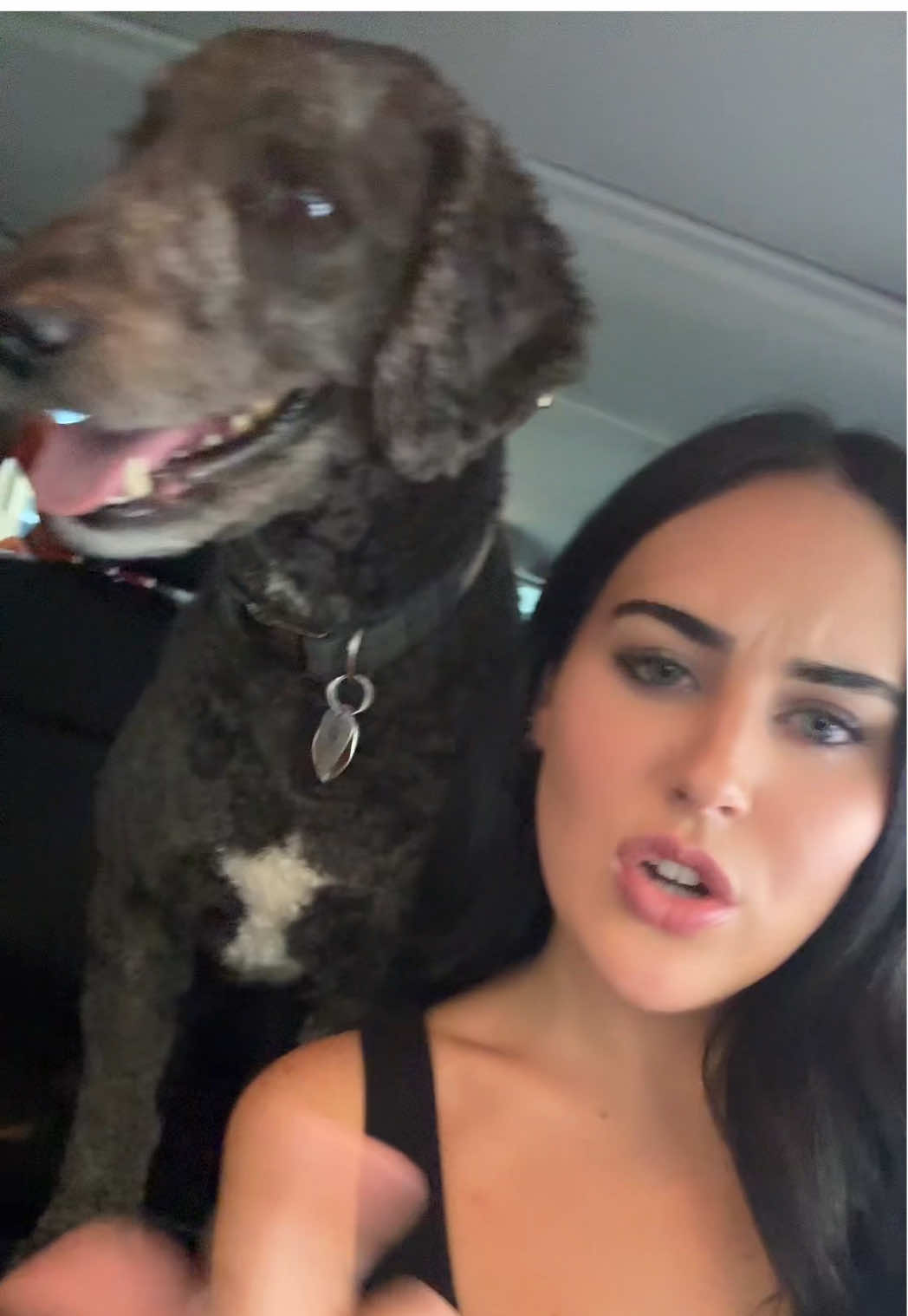 Guess who’s about to get a pup cuuuupppp #fypsounds #dogsoftiktok #pupcups #summermashup #dogs 