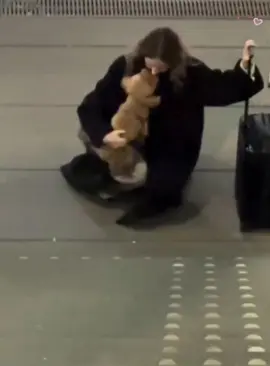 “ Dog: You’re finally back ! I misded you so much !”🥰🐶#dog #dogsoftiktok #Love #sweet #foryou #usa 
