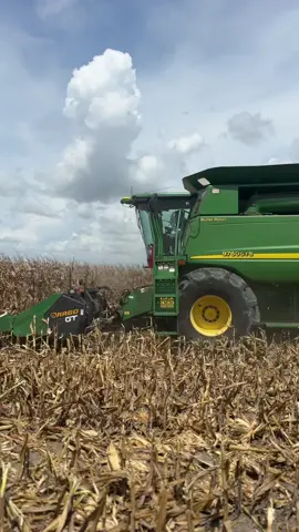 Still going strong on the corn🌽 peep our OG motherbin #farmlife @Beautherepairman 