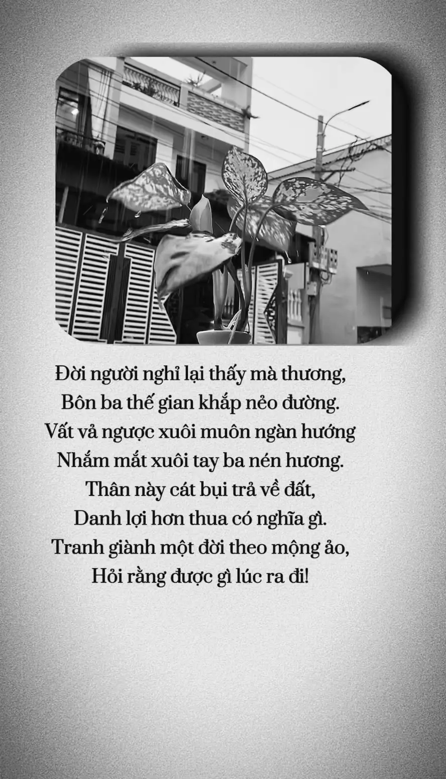 #nammobonsuthichcamauniphat #phat #phatphapvobien #phattrongtam 