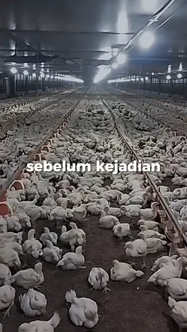 penjarangan yang tidak diinginkan🥹