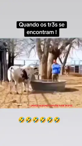 Quando os três se encontra 🤧🤪😂#quandoseencontram 