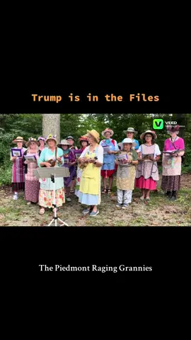 He’s trying everything he can think of to distract from breaking his promise to release the #Epstein files. So, here’s a reminder! #raginggrannies @MeidasTouch 