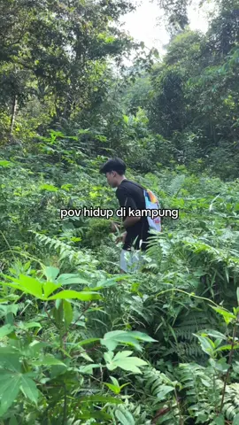 serba salah, kata orang “maju kena, mundur kena”🤣#dikampung 