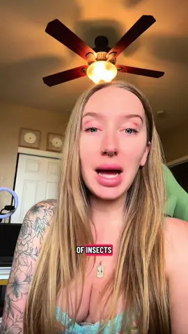 Just a PSA though, it’s rare but spiders can carry Lyme disease so ya know, don’t kill them but don’t invite them in your bed either 😂 #spider #fyp #disabledartist #oddities #lymedisease 