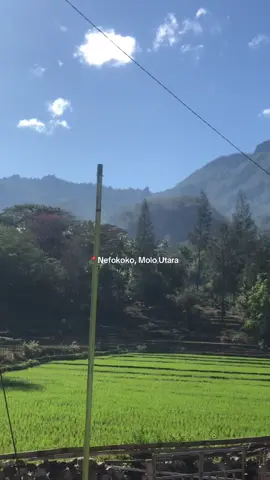 Sangat indah woiiii 😍             📍surganya TTS #fyppppppppppppppppppppppp  #surga  #pemandangan 