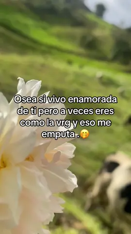 Jaja🤭