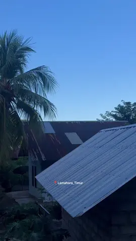 Merajukkkk#lembatatiktok🍃🔥🔥 #lembatamanise #lembatapride🏝🔥 #logatlembata #lembataisland 