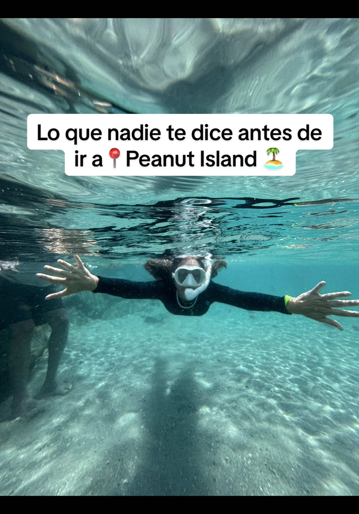 Peanut Island, un paraíso escondido en Florida cerca de West Palm Beach 🌊☀️ Aquí te cuento todo lo que debes saber antes de visitarlo 👇 #florida #hiddengems  #peanutisland #westpalmbeach #thingstodoinflorida #hiddenflorida #floridatravel #snorkelingflorida #floridalife #floridavibes #floridabucketlist #PlacesToVisit #floridabeaches #parquesflorida #natureflorida #snorkellife #beachvibes #creatorsearchinsights 