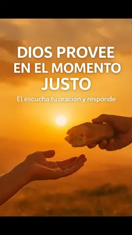 Dios provee en el momento justo 🥖✨ “Cuando parece que no hay salida, Dios siempre tiene un plan. Él escucha tu oración, conoce tu necesidad y provee en el momento justo. 🕊️ Este testimonio te recordará que Dios nunca llega tarde y que su provisión es perfecta. Si confías en Él, comenta AMÉN y comparte para que más personas sean bendecidas. 🌿” #DiosProvee #DiosNuncaFalla #ProvisiónDivina #TikTokCristiano #DiosEsFiel 