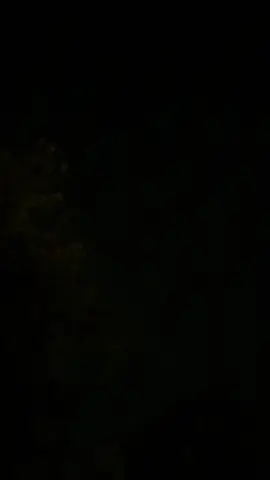 Saw this in the sky tonight!  What is it??  A line of lights!!