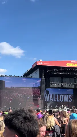 #wallows #dylanminnette #readingfestival #fyp #reading 