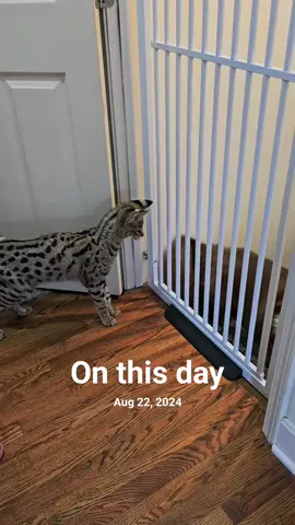 #onthisday