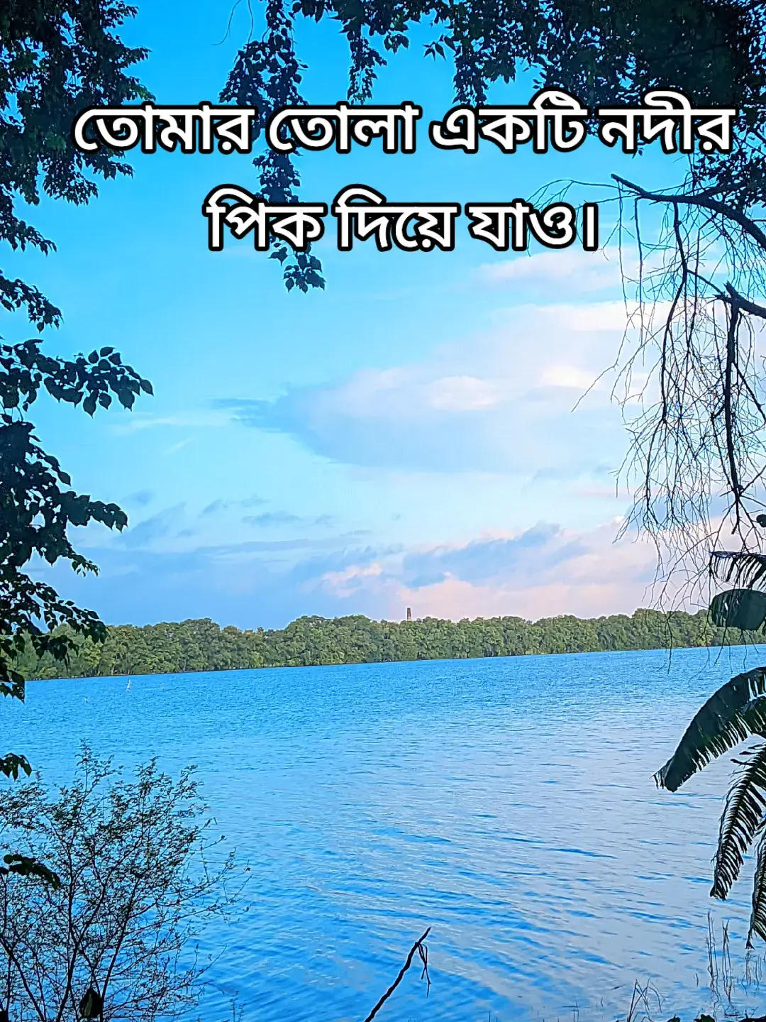 তোমার দেখা নদীর একটি করে পিক দিয়ে যাও 🥀🥀#foryoupageofficiall❤️❤️tiktok @For You 