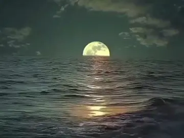 زندگی کا کیا بھروسہ #islamic_video #vedioviral #foryoupage❤️❤️ #creatersearchinsights💓💖🥰 #🌹🌹💓💝🥰😍🥀🌿 