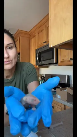 Part 2