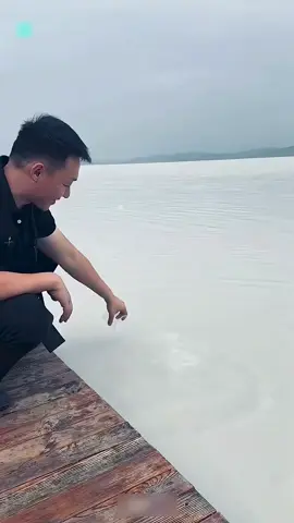 LAUTAN SUSU DI TIONGKOK INI BISA DIMINUM ⁉️ #videoviral #informasi #fyp 