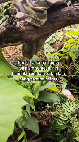 mana orangnya🤣#katakatabanjar #fypbanjar #fyp #foryou @𝓷𝓲𝓼𝓪 