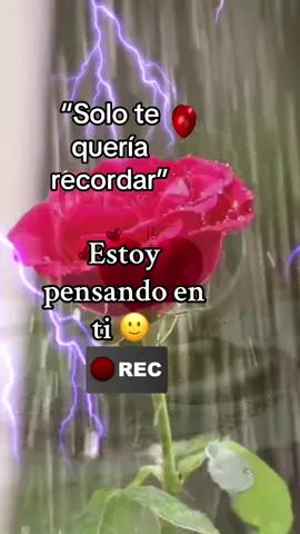Si tú te fueras de mi 🥺