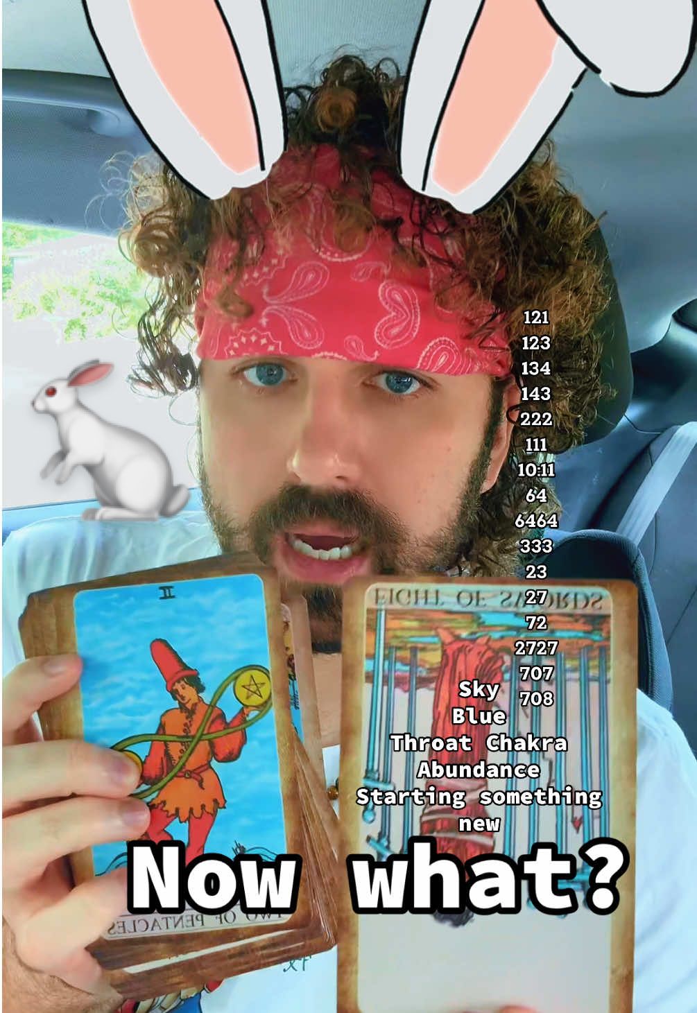 U ready? Vroom vroom, BunnBunn 🫶🐰💛🐇 #bunnbunnnation #divinetiming #tarotmessage #111 #chosen 