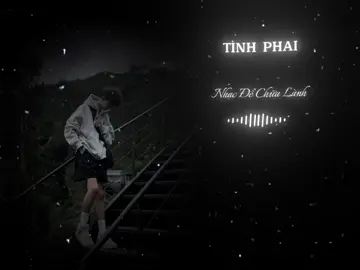 TÌNH PHAI..! #nhacdechualanh #lyrics #lyricsvideo #lyrics_songs #nhachaymoingay