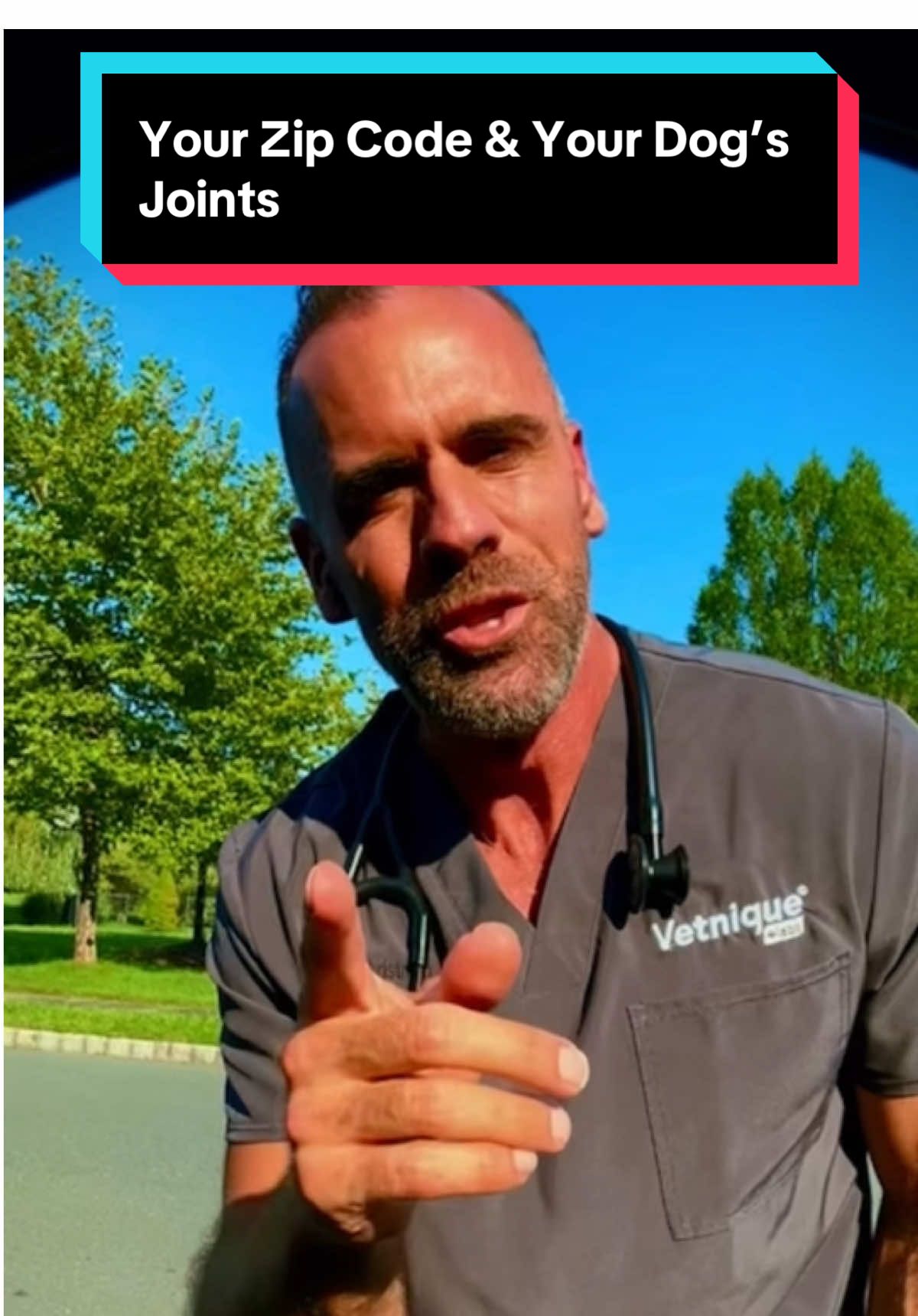Did you know that your zip code affects your dog’s joints? Let talk about it & what it means! #dogtips #vetniquepaidpartner #yumove #vetmed #dogsoftiktok @YuMOVE @Vetnique Pet Health Products @Joe Flowers 