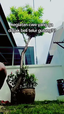 #apapun rasanya telur gulur#@telurrrr gulungggggggggggggg #wonosobo24jam #🇸🇬 #tiktok #
