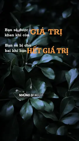 🪷🍀Hãy sống đúng với giá trị, đừng quan tâm quá về lời chê bai của người khác #ngộđểan #phatphapnhiemmau #cliptrieuwiew #caunoihay #xuhuongtiktok 