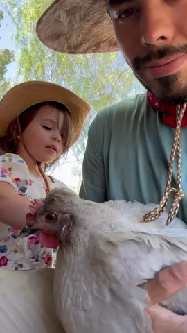 2 parte! Otra de las gallinas que andan cluecas. A mis dos sobrinita les encanta salir y les encanta estar explorando el gallinero y el rancho, las dos van a ser las famosas tererneitor por que no le tienen miedo a nada! Me impresiona el hecho de saber que a las más chiquita le gusta agarrar a las gallinas y no porque los ve más grande les tiene miedo, y la más grande está aprendiendo a recoger su comida y sabe que las gallinas le proporcionan su alimento y les da hasta gracias por los huevos cada que viene por las gallinas que nos dan el huevo para comer! No nomás aprendo de las gallinas si no de mi sobrinas cada que vienen conmigo a ayudarme con las gallinas. 🐓🙌🏽#fypシ #farmlife #chicken #family #work 