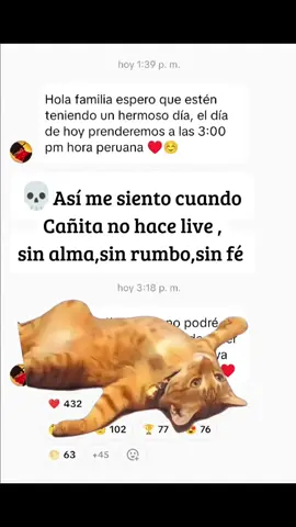 #cañita #paratiiiiiiiiiiiiiiiiiiiiiiiiiiiiiii #sad #viraltiktok #cańitatimcholitos🌽 