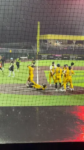 I looked away for two seconds, looked up and saw this #savannahbananas #bananaball #baseball 