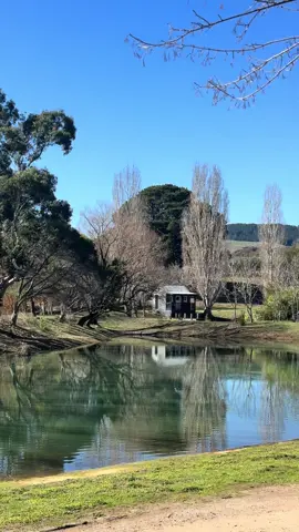 Road trip Melbourne 📍#victoria #melbourne #roadtrip #daytrip #daylesford 