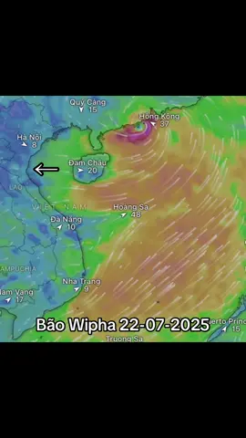 Mục tiêu của bão?