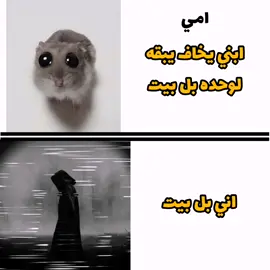 ..... ..... #رياكشنات #علي_بن_ابي_طالب #امي #بغداد #بصره 